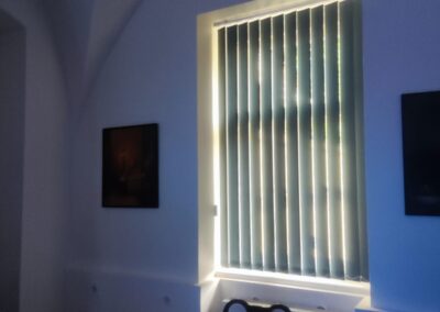 Služby - CENTRUM STÍNĚNÍ PRAHA 62